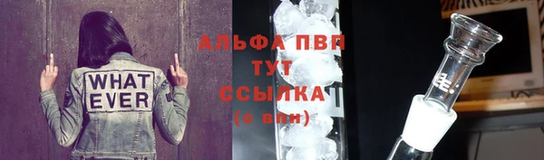 Альфа ПВП Инсар