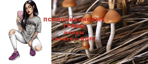 спайс Зеленодольск