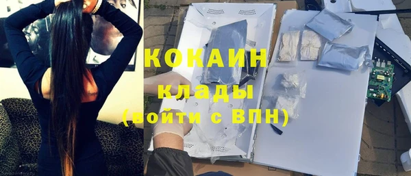 Альфа ПВП Инсар