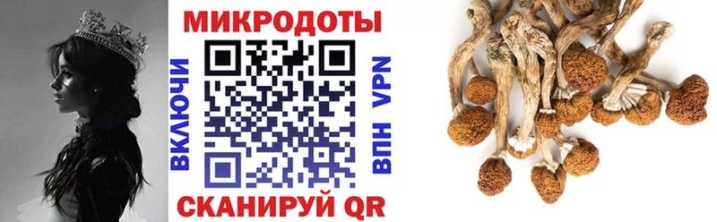 Псилоцибиновые грибы GOLDEN TEACHER  Купить где  Заречный 