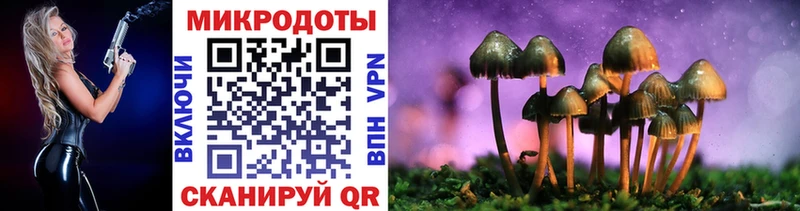 Галлюциногенные грибы MAGIC MUSHROOMS Заречный